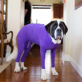 Exclusive Pet Dog / Cat Surgery Recovery Onesie Pajamas Suit