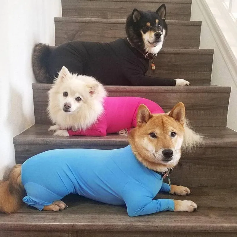 Exclusive Pet Dog / Cat Surgery Recovery Onesie Pajamas Suit