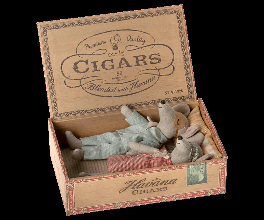 Mum & Dad Mice In Cigarbox