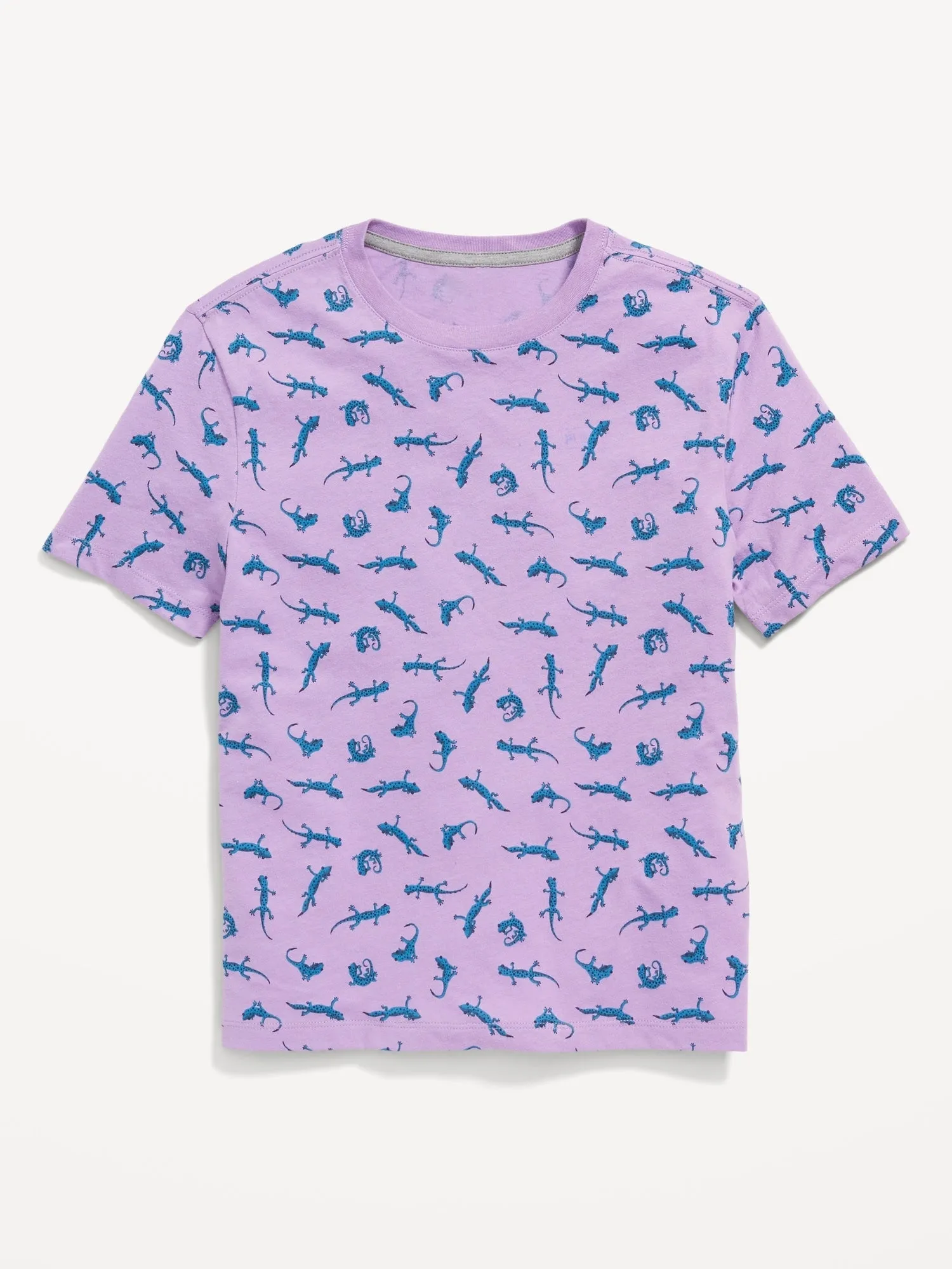 Softest Printed Crew-Neck T-Shirt for Boys
